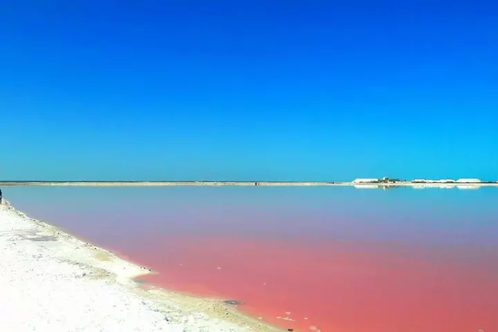 Nature Tour at Las Coloradas and Rio Lagartos Biosphere