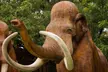 Dinosaur World Cave City - Second Medium