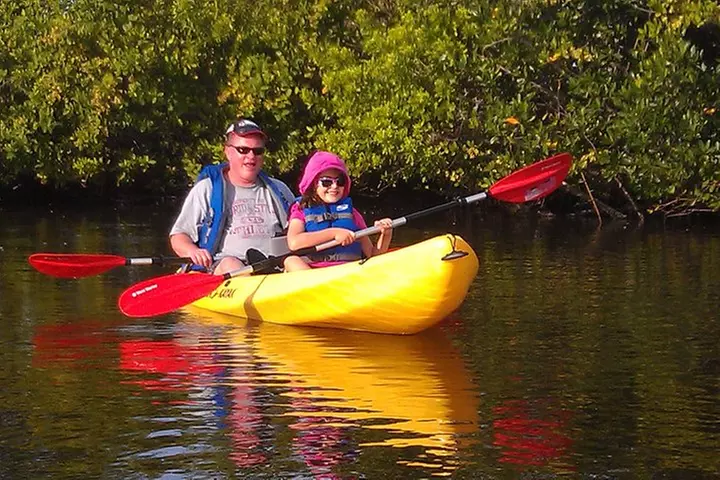 Guided Kayak Tour with Manatee & Dolphin Sightings