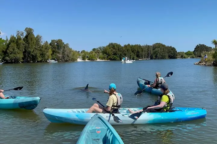 Wildlife Refuge Dolphin, Manatee & Mangrove Kayak or Paddleboarding...
