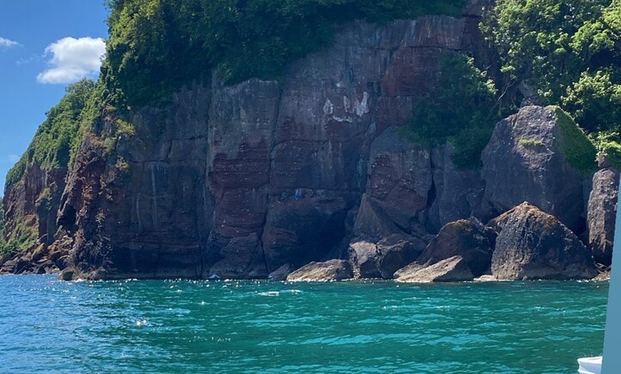 Image 19: Luxury Costal Rib Tour to Babbacombe Bay from Exmouth Marina