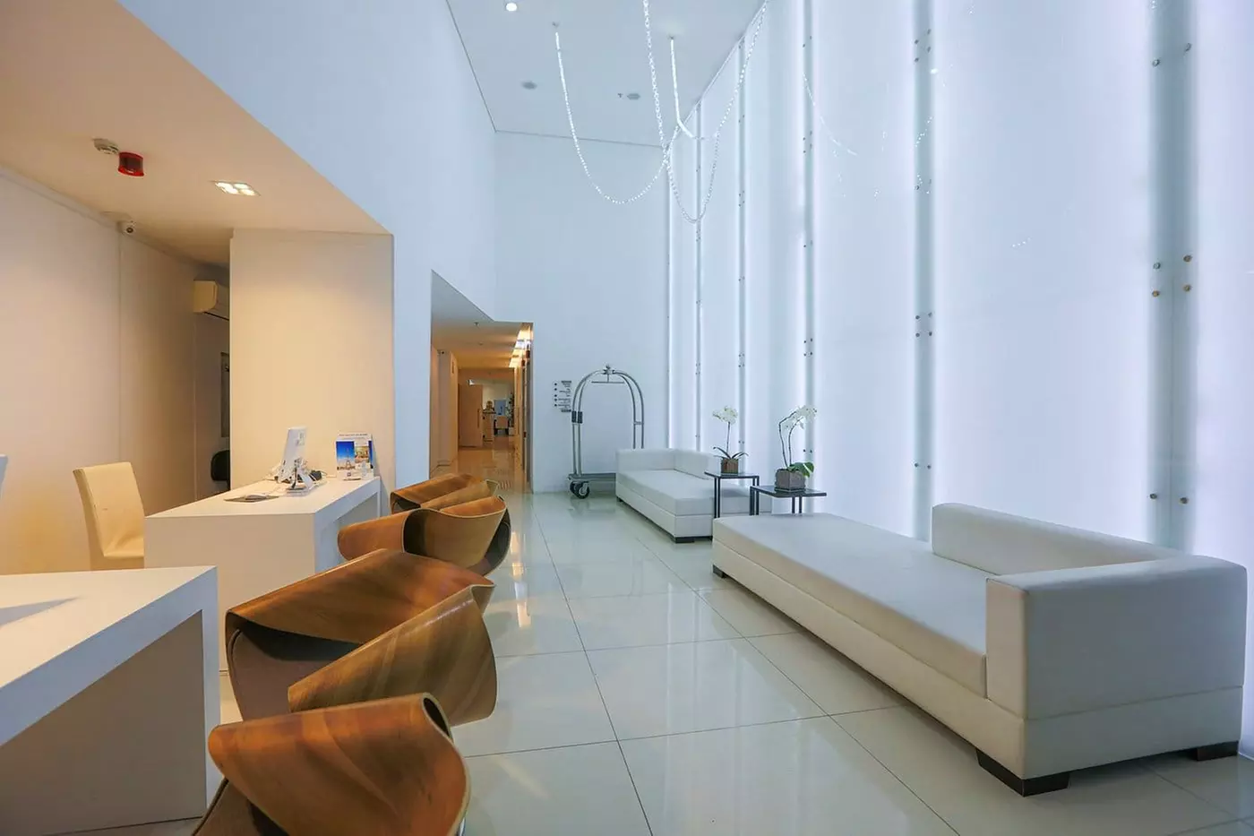 ✈ BRASILE | Rio De Janeiro - Bossa Nova Ipanema con Esperienza di C...