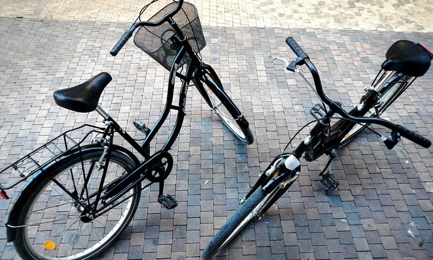 Image 3: Alquiler de bicicletas en Málaga