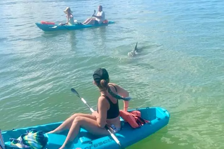 Dolphin and Manatee Kayak Tour of Daytona Beach