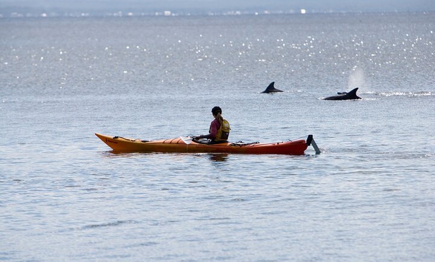 Image 2: Half-Day Jervis Bay Sea Kayak Tour