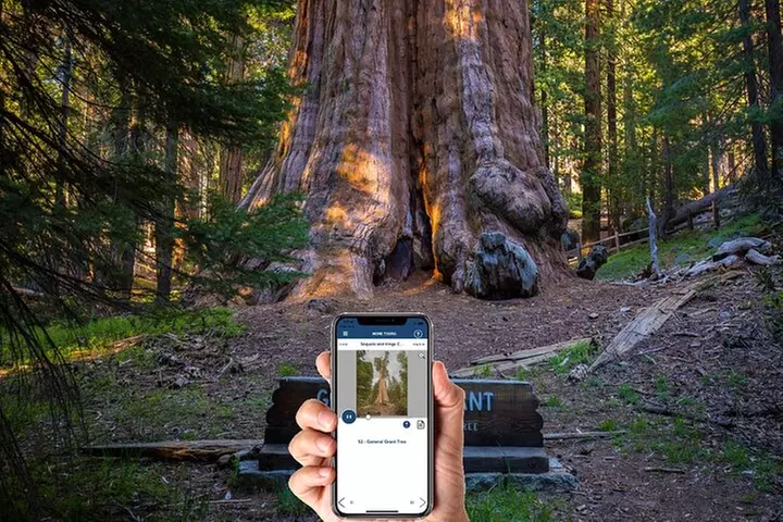 Sequoia & Kings Canyon NP Self-Guided Driving Audio Tour