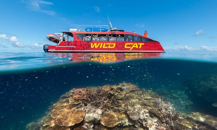 Image 1: Outer Reef Snorkel Adventure in Airlie Beach