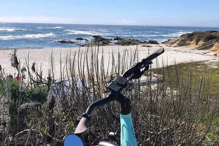 17-Mile Drive Electric Bike Guided Tour