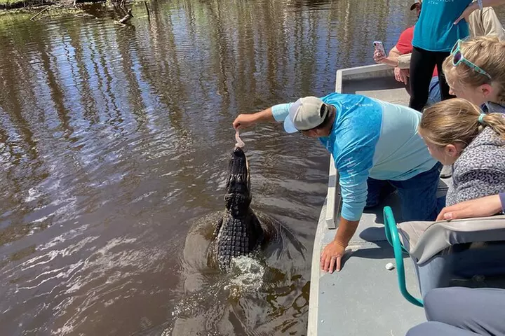 Small Airboat and Oak Alley Plantation Tour from New Orleans