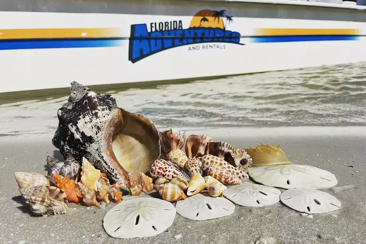 Marco Island Wildlife Sightseeing and Shelling Tour