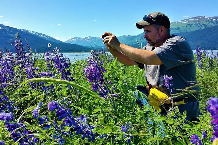 Wilderness, Wildlife, Glacier Experience from Anchorage