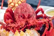 Tasmanian Seafood Gourmet Full-Day Cruise Including Lunch - Image 5