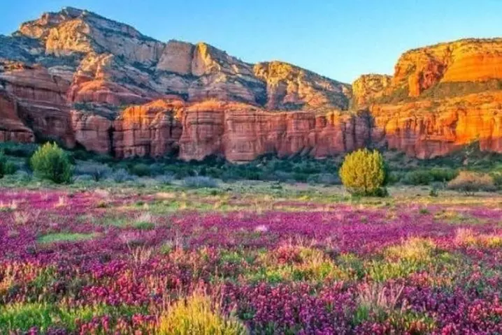 Scenic Sedona Tour