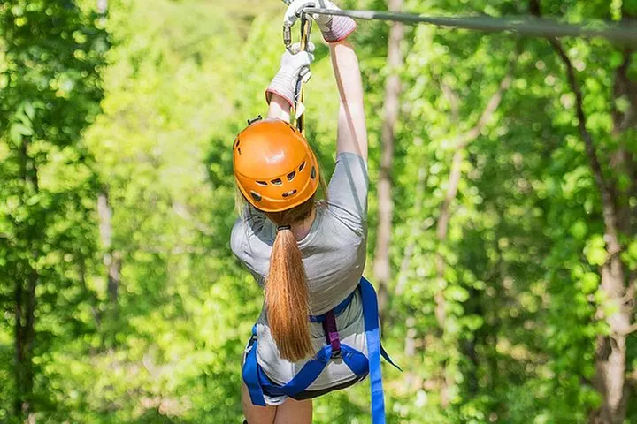 Small-Group 7-Line Zipline Activity at Sevierville Nature Park