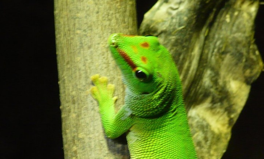 Image 3: Entrada al acuario de Zaragoza