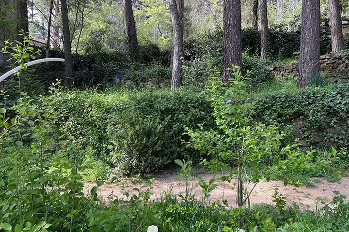 Talla de piedra en Cercedilla/Madrid