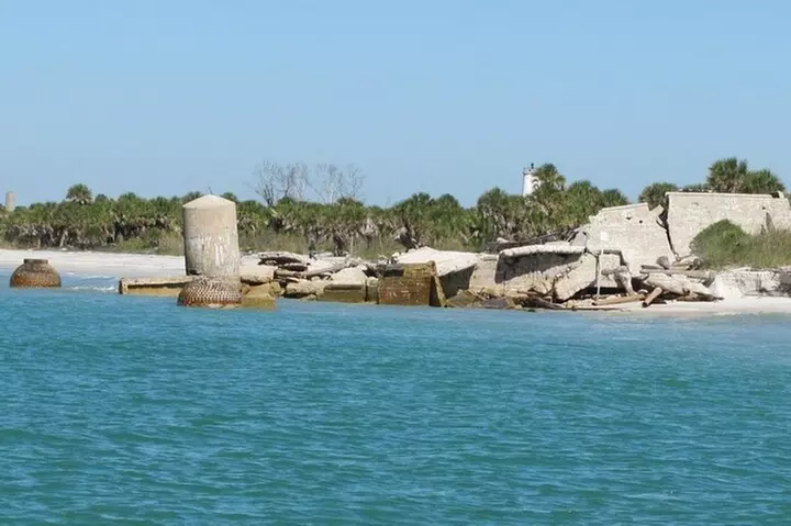 Egmont Key Dolphin Tour - Primary Image