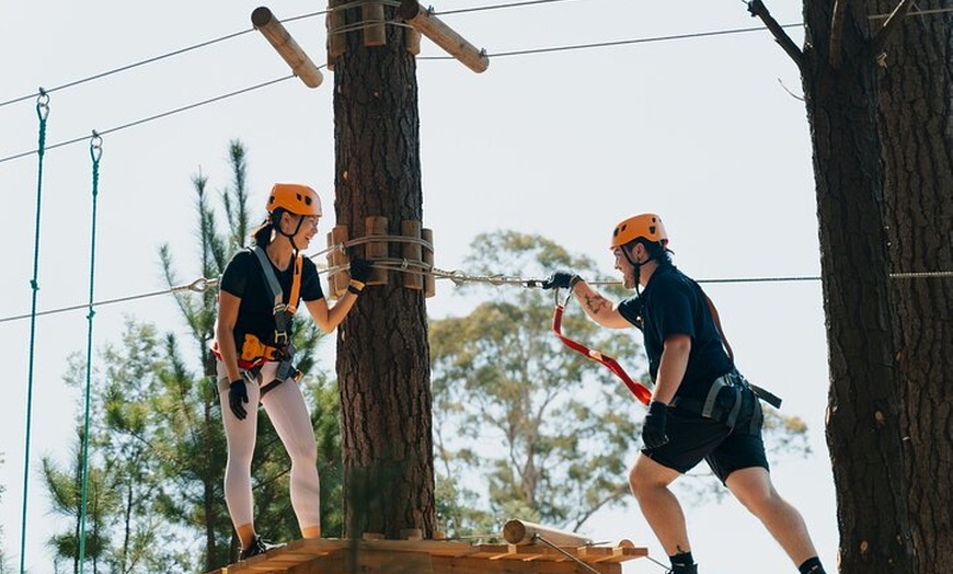 Image 3: Guided Tree Ropes Course Experience in Majura Pines