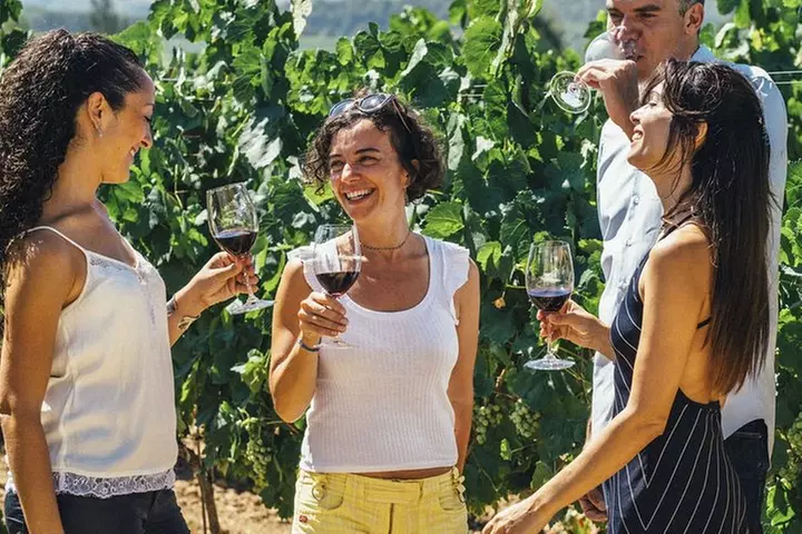 6-Hour Customized Private LIVERMORE Valley Wine Tour From San Francisco Bay Area - Second Medium