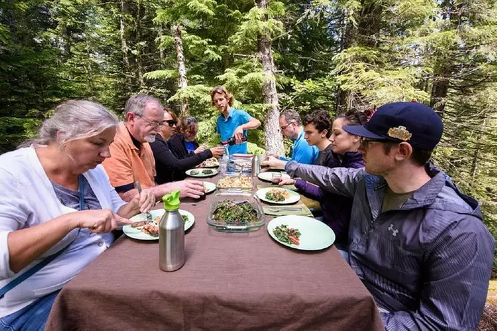 Best of Mount Rainier National Park from Seattle: All-Inclusive Sma...