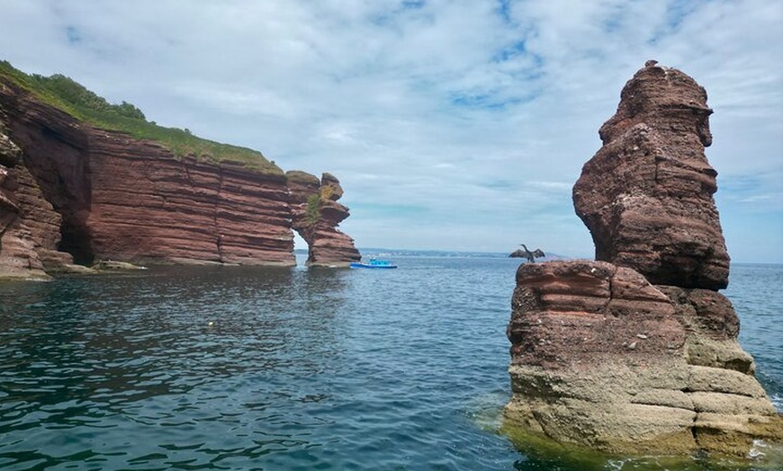 Image 16: Luxury Costal Rib Tour to Babbacombe Bay from Exmouth Marina