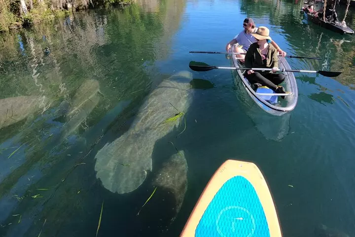 Clear Kayak Manatee Ecotour of Crystal River