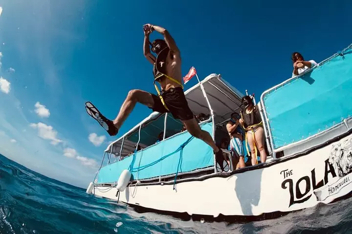 Waikiki Snorkel Tour - Primary Image