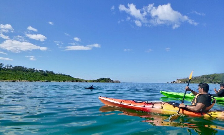 Image 10: Half-Day Jervis Bay Sea Kayak Tour