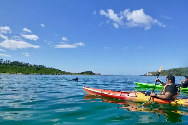 Half-Day Jervis Bay Sea Kayak Tour - Primary Image