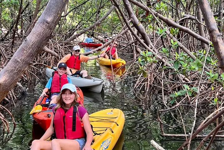 Mangrove Tunnel Kayak Eco Tour - Primary Image