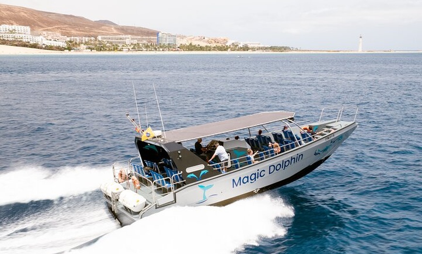 Image 1: Excursión de 2 horas - Avistamiento de delfines en Fuerteventura
