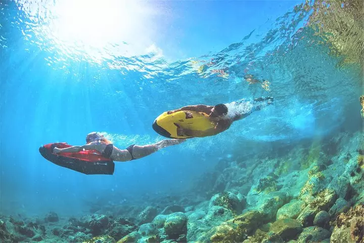 90-Minute Snorkel & Seabob Underwater Guided Reef Tour in Fort Laud...