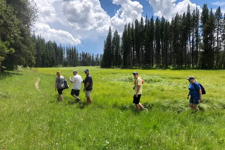 Private Hidden Gems of Yellowstone! Lunch w/ family friendly hikes included! - Primary Image