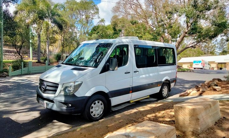 Image 20: Brisbane Private Shore Excursions with Lone Pine Koala Sanctuary