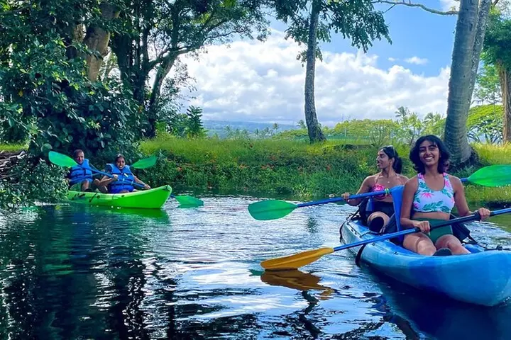 Historic Hilo Bay and Coconut Island Guided Kayak Adventure - Primary Image