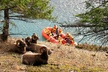 Athabasca River Easy Scenic Raft Trip - Second Medium