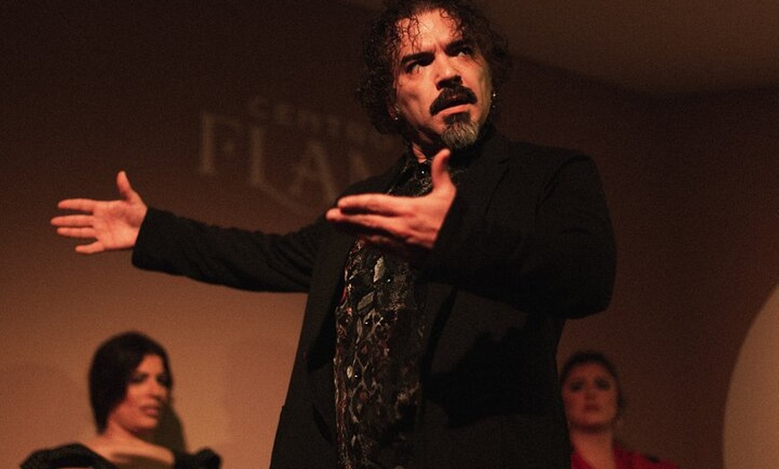 Image 14: Entrada al Centro Cultural Flamenco de Madrid