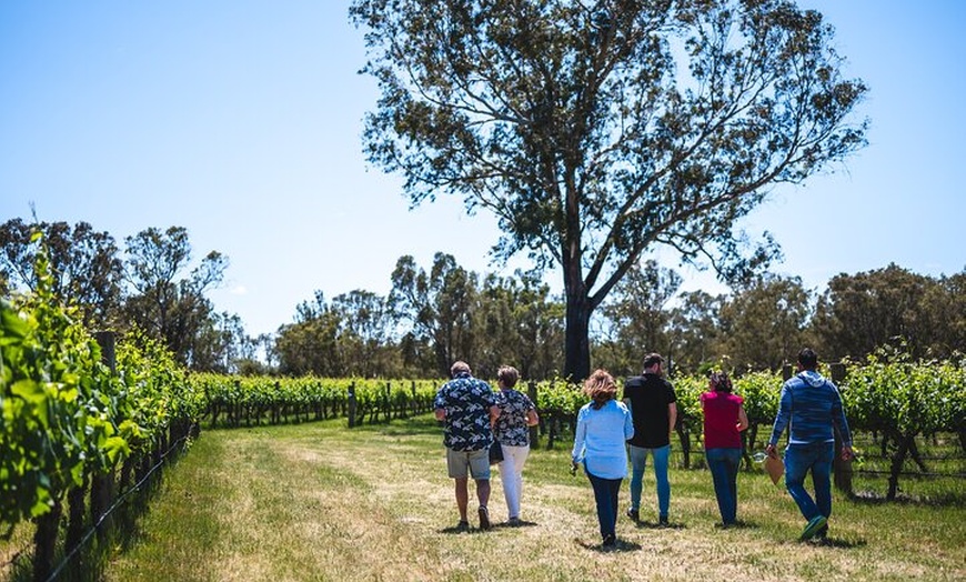 Image 4: Upper Reach Winery: Swan Valley Winery and Vineyard Tour