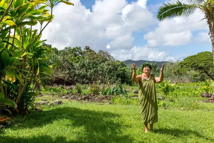 Semi Private Honolulu Historical Tour