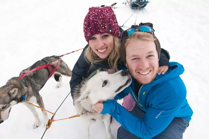 1.5 Hr - Winter Dog Sledding in Knik, Alaska - Primary Image
