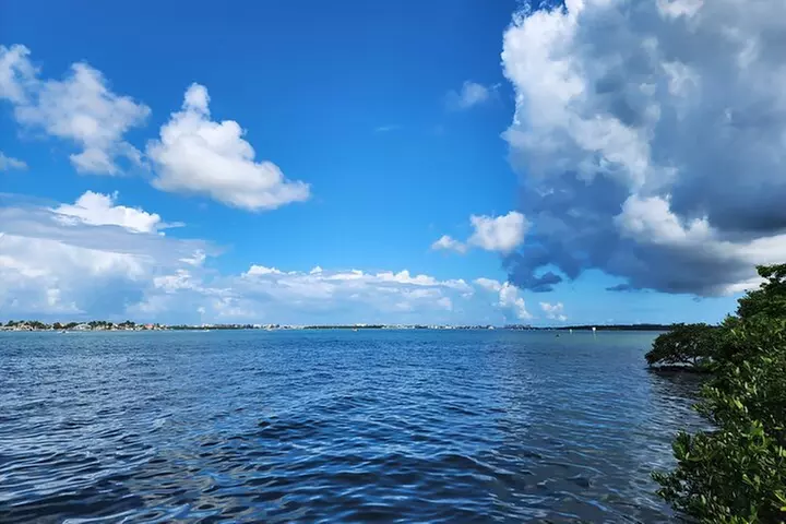 St. Petersburg Jungle Prada Site History Tour