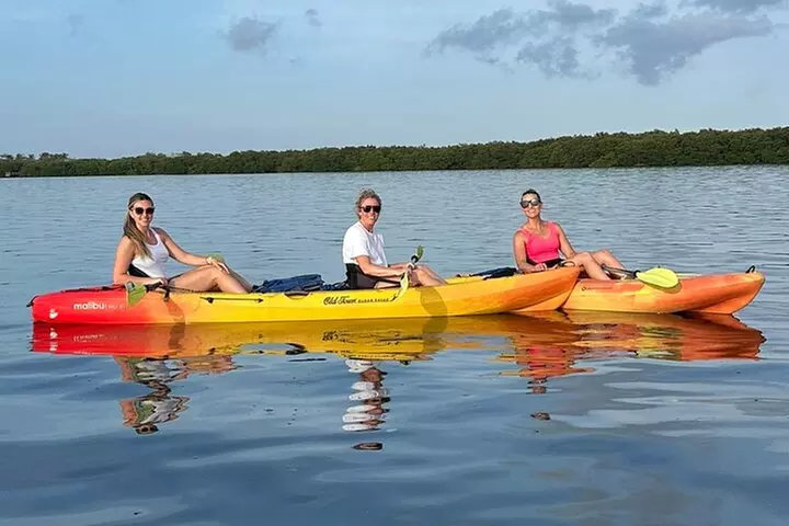 Sunset Kayaking with Dolphins