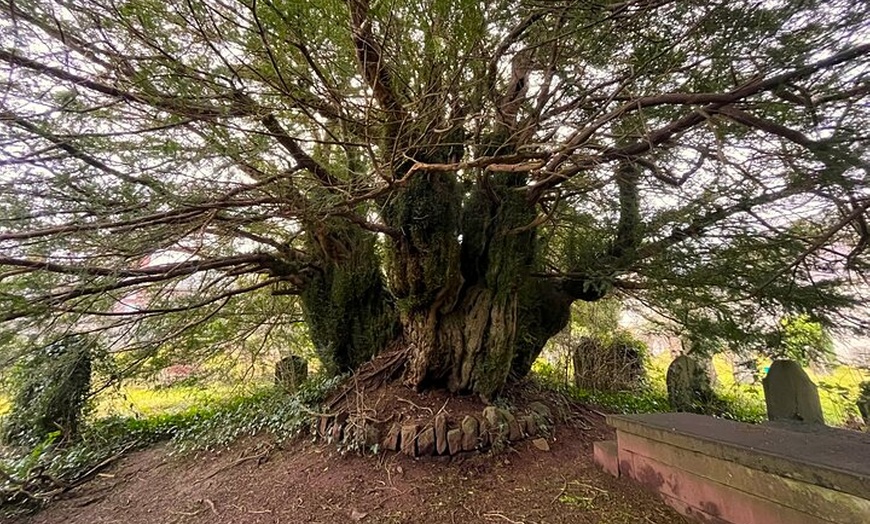 Image 10: Cardiff: Waterfalls, Mountains & Castles Day Tour