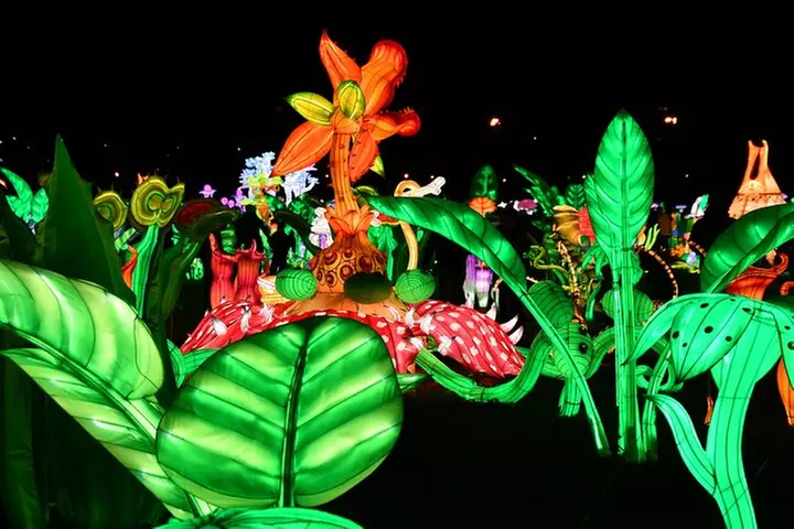New York City LuminoCity Festival Guided Bus Tour from Manhattan - Second Medium