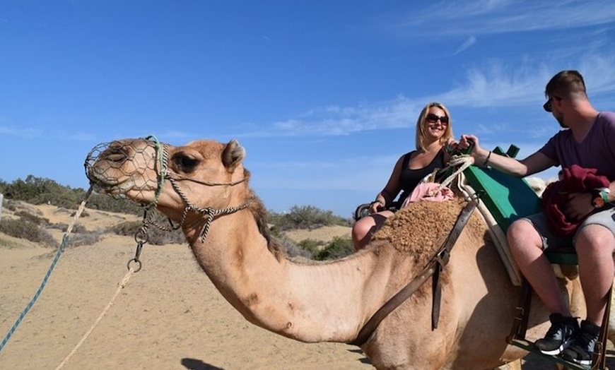 Image 2: Paseos en Camello por las Dunas de Maspalomas