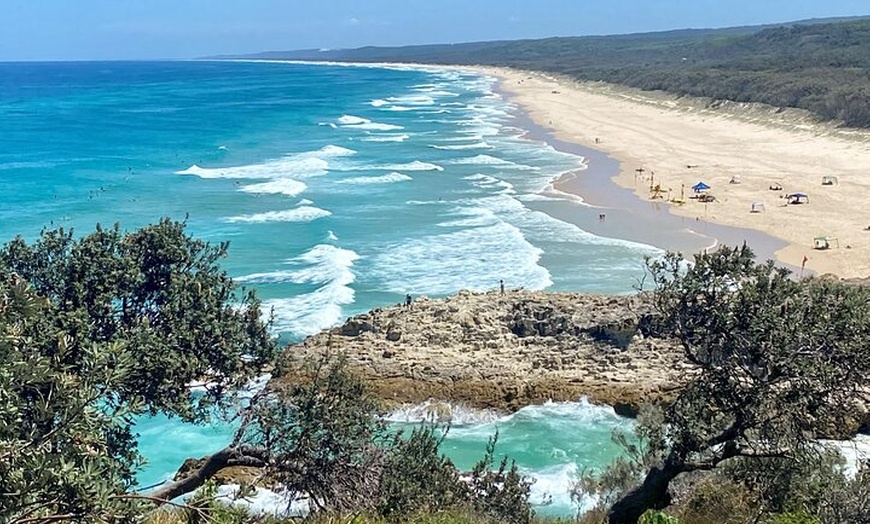 Image 5: North Stradbroke Island WILDLIFE Adventure Tour from Brisbane