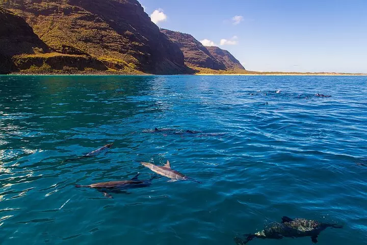 Kona Snorkel Tour: Captain Cook Reef Snorkel, Dolphin & Sea Caves