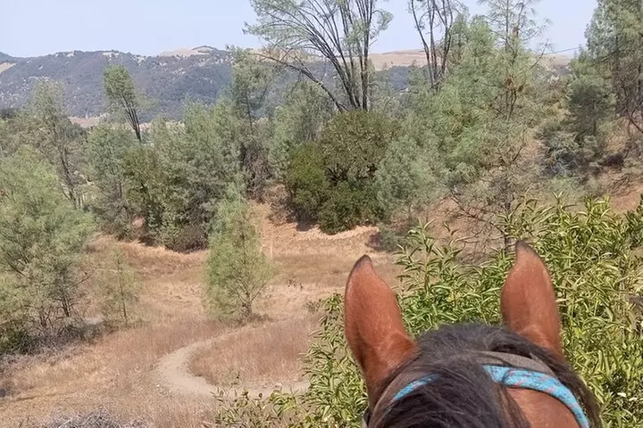 Sonoma Horseback-Riding Tour