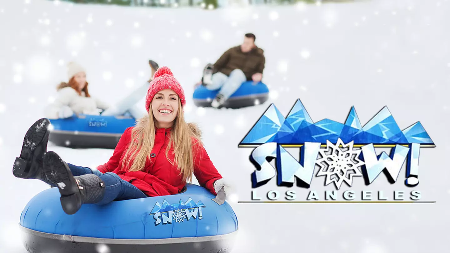 Snow Day LA - Primary Image