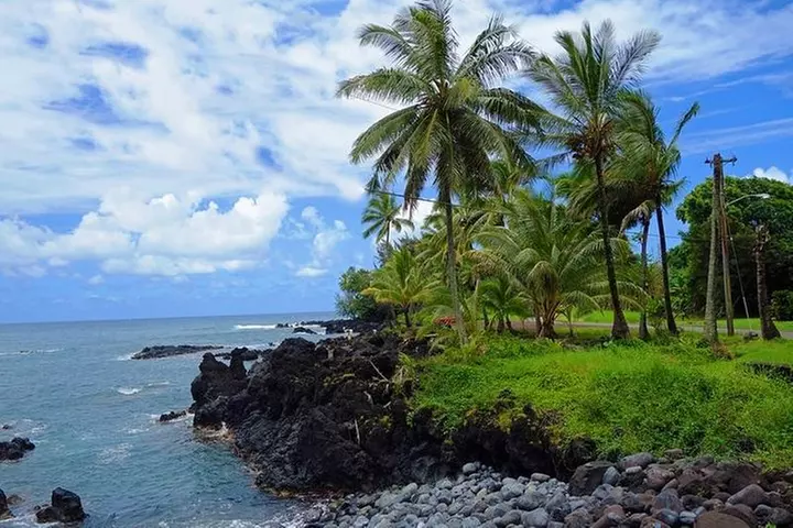 Maui: Famous Road to Hana Waterfalls and Lunch by Mercedes Van